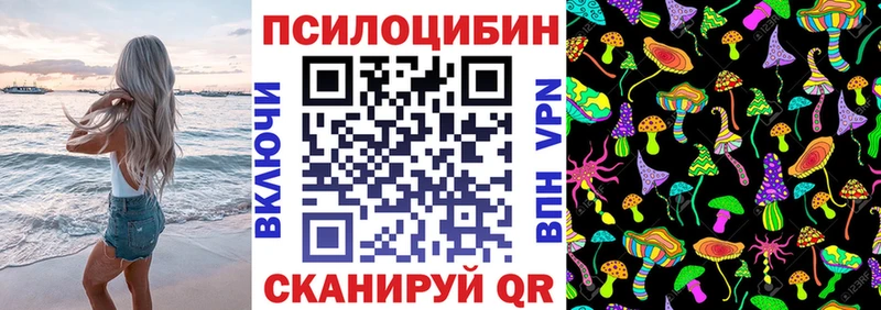 где можно купить наркотик  OMG онион  Галлюциногенные грибы GOLDEN TEACHER  Пущино 